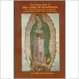 The Seven Veils of Our Lady of Guadalupe, Fr. Miguel Guadalupe 