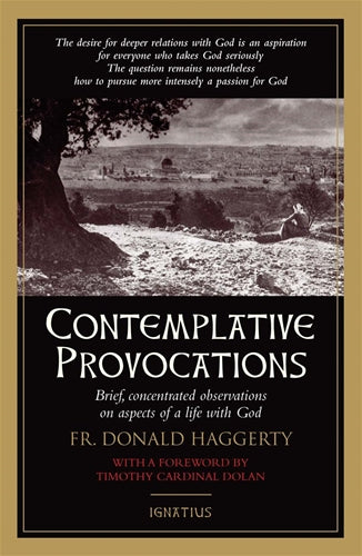 Contemplative Provocations by Haggerty