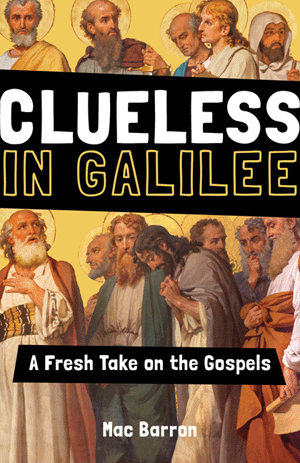 Clueless in Galilee by Mac Barron