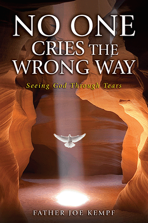 No One Cries the Wrong Way, Seeing God Through Tears by Father Joe Kempf
